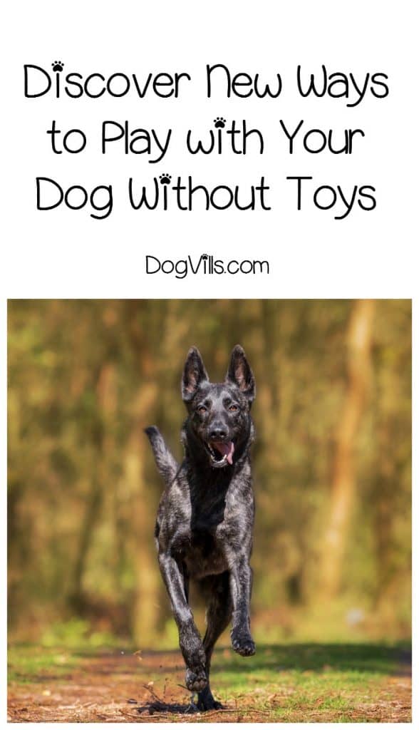 You don’t have to go broke to entertain your pup! Check out these ways to play with your dog without toys!