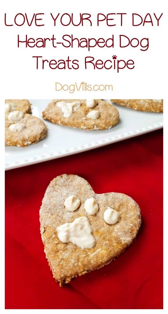 Celebrate Love Your Pet Day every day with this adorable & tasty homemade heart-shaped dog treat recipe! Grab the recipe now!