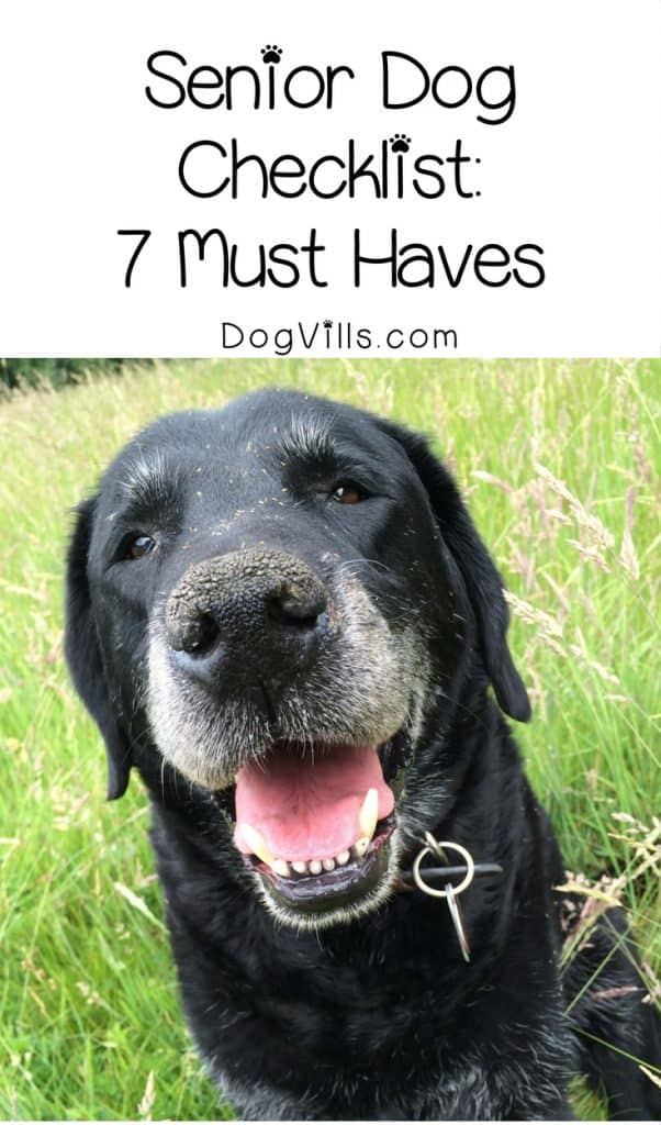 Older dogs have much different needs than their puppy counterparts. Check out 7 must-haves for your senior dog checklist!