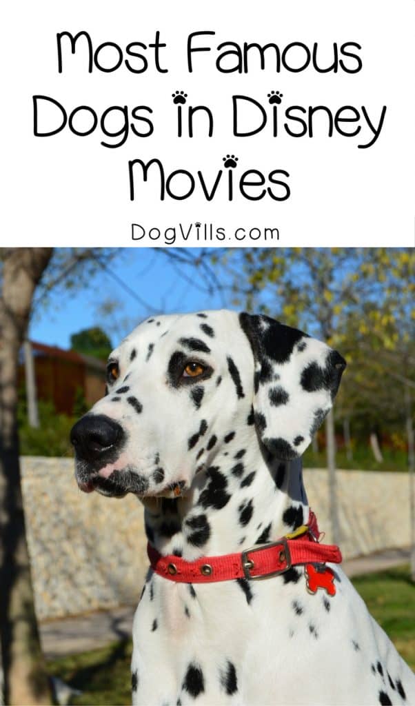 These are by far the five most famous dogs in Disney movies (not counting Pluto and Goofy)! How many of these flicks have you seen!