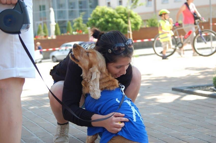 Do dogs like hugs? The answer to that has been fiercely debated among experts. Find out what they’re saying and what we think!