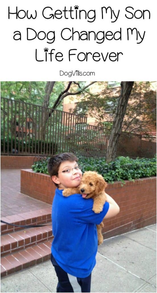 Getting a dog is absolutely a life-changing experience! Check out this beautiful story from Victoria Franz about how getting a pup for her son changed her world!