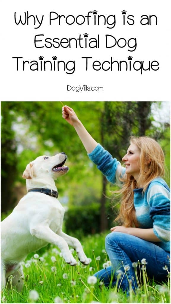 Proofing your dog’s training isn’t as difficult or time consuming as it sounds. Check out these tips to help you develop more trust in your dog's response!