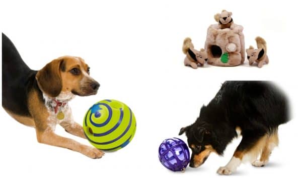 Looking for the best toys for low energy dogs? We're sharing some of our favorite interactive dog toys that will motivate your couch potato to get a bit more active!