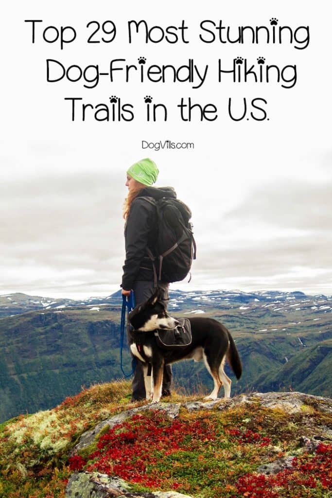 Get out those hiking books because today, we're going to explore the top dog-friendly hiking trails in the U.S! You can take along your best furry pal and enjoy on of these awesome hiking trails in California, Florida, Illinois, New York and Texas. Check them out!