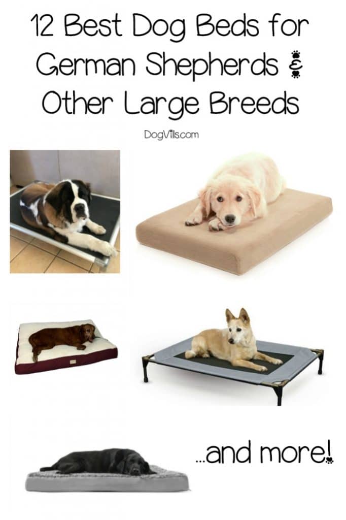 Find out what you need to know about buying the best dog beds for German Shepherds, plus check out our top 12 picks!