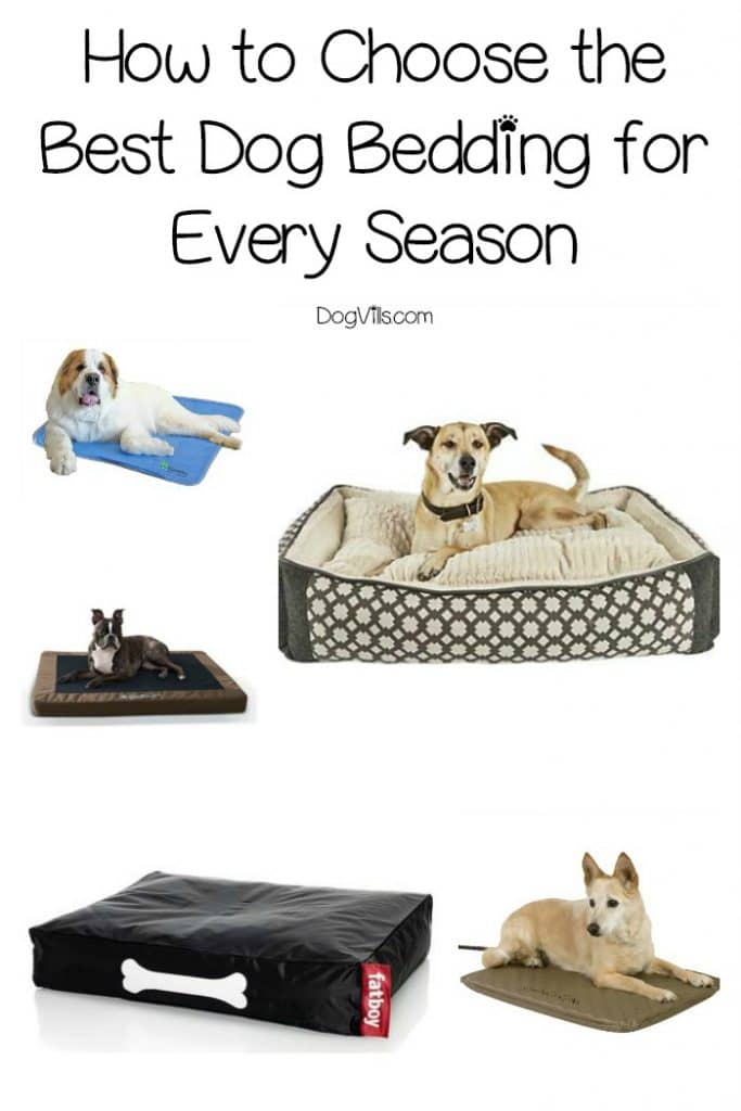 Looking for the best dog bedding all seasons? From indoor beds to the perfect bedding for a dog house, from winter to summer, we've got you covered in our complete guide to choosing the best bedding for your dog! Check it out!