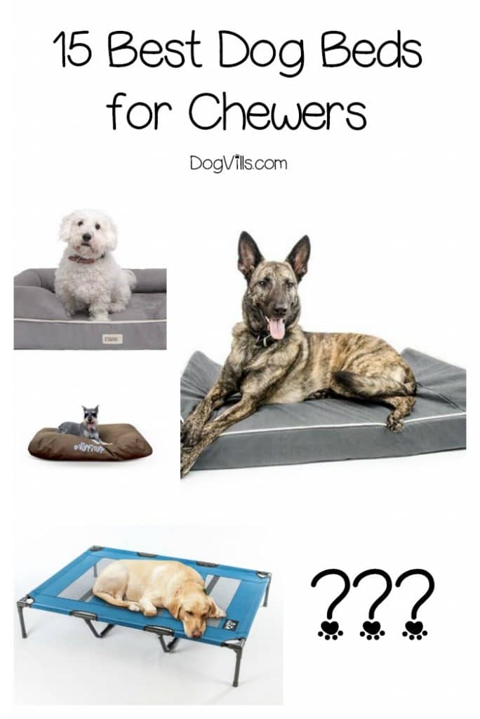 titan chew proof dog bed