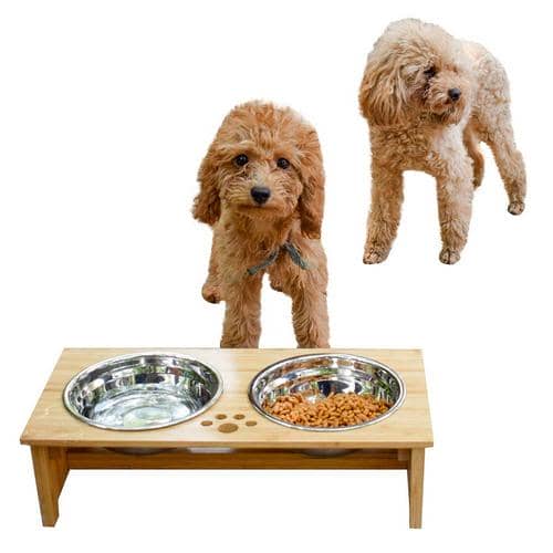 5. FOREYY Raised Pet bowls for Cats and Dogs