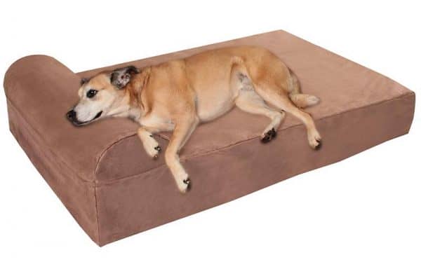 Big Barker bed review large