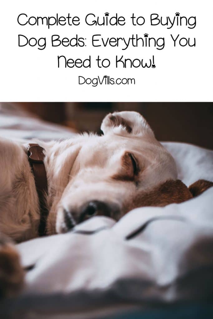 Get ready for everything you ever wanted to know about dog beds! By the time we're done, you'll have no doubt as to which one is right for your pooch!