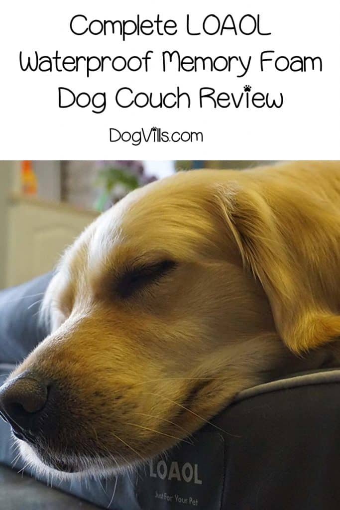 Looking for an LOAOL Waterproof Memory Foam Dog Couch review to find out if it's right for your dog? Read on to learn all about it!