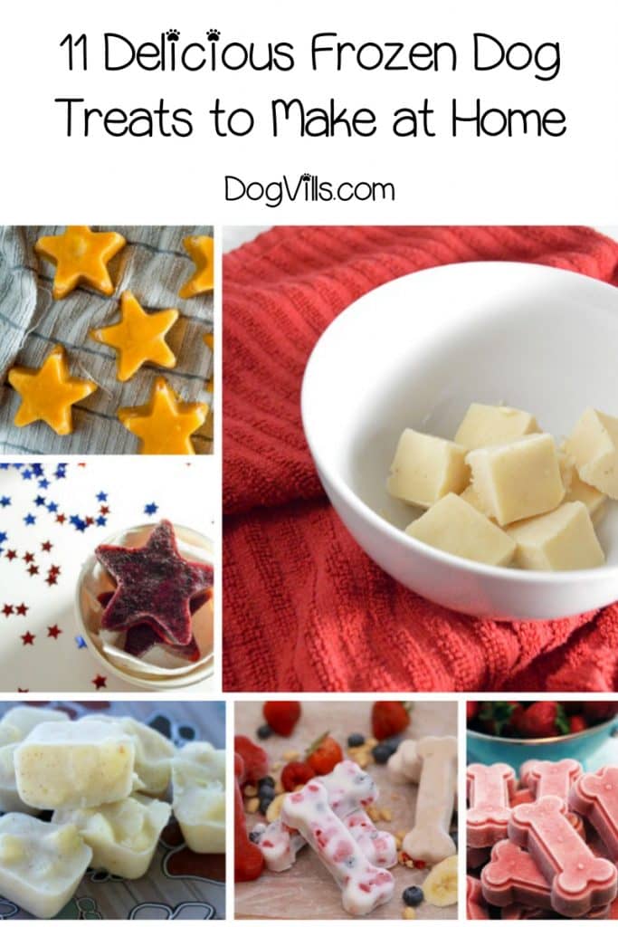 Looking for frozen dog treats recipes to cool your pooch on hot days? These ideas are so easy, you'll love making them as much as Fido loves eating them!