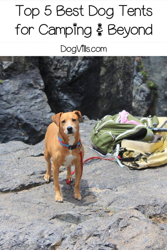 If you're looking for the best dog tents, I've got you covered (literally)! Check out our top five favorites for camping, beach days, and even indoor use!