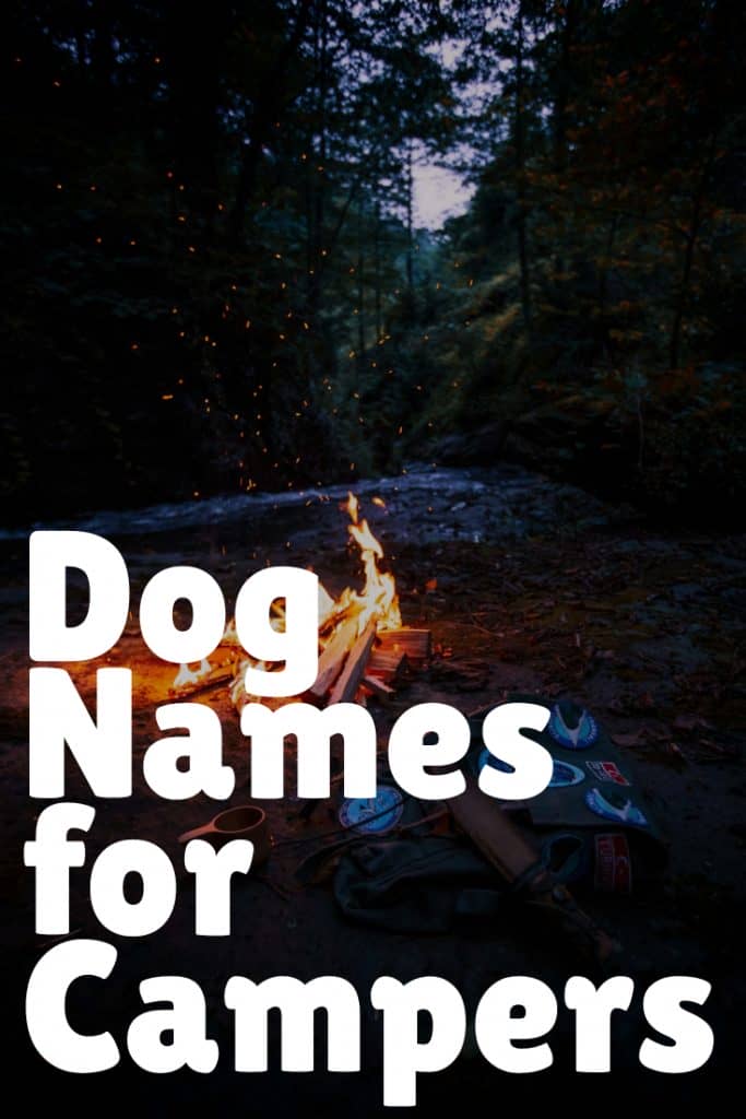 Camping Dog Names