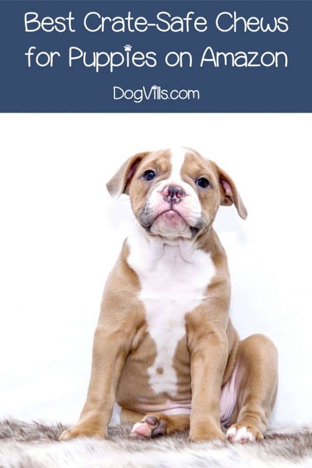 A closer look at Best Crate For Puppy Safety