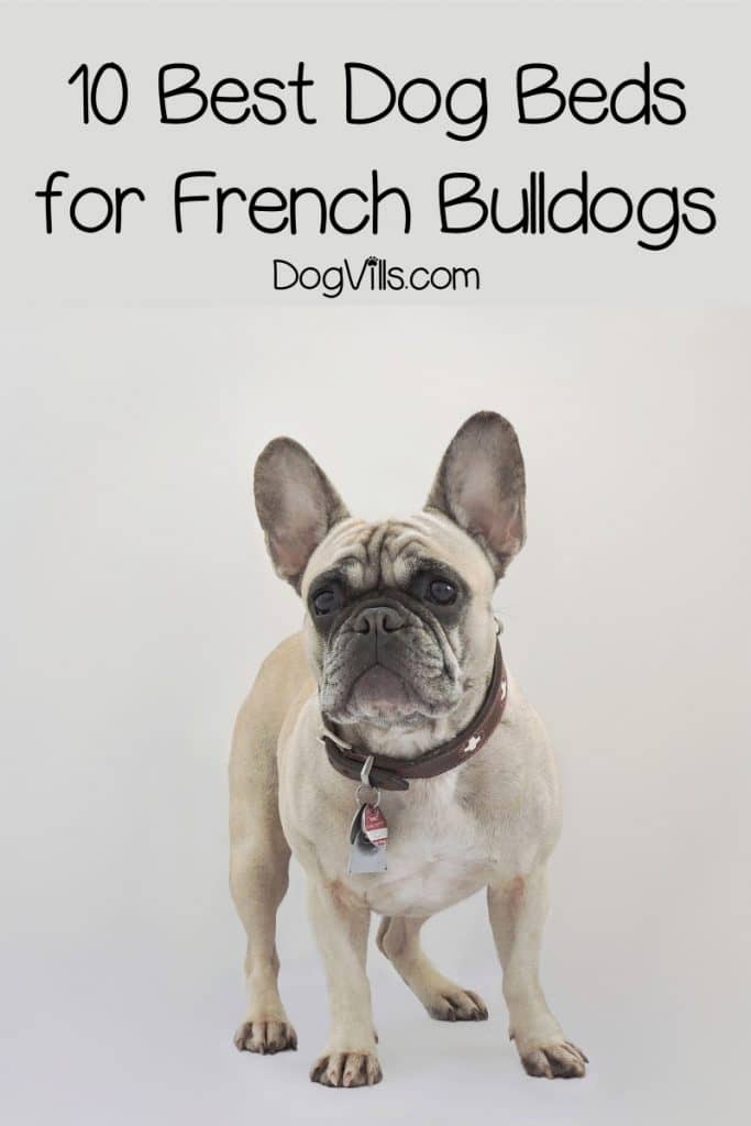 If you're searching for the best dog beds for French Bulldogs, you'll love our list! Check out 10 diverse options for your little lady or gentleman!