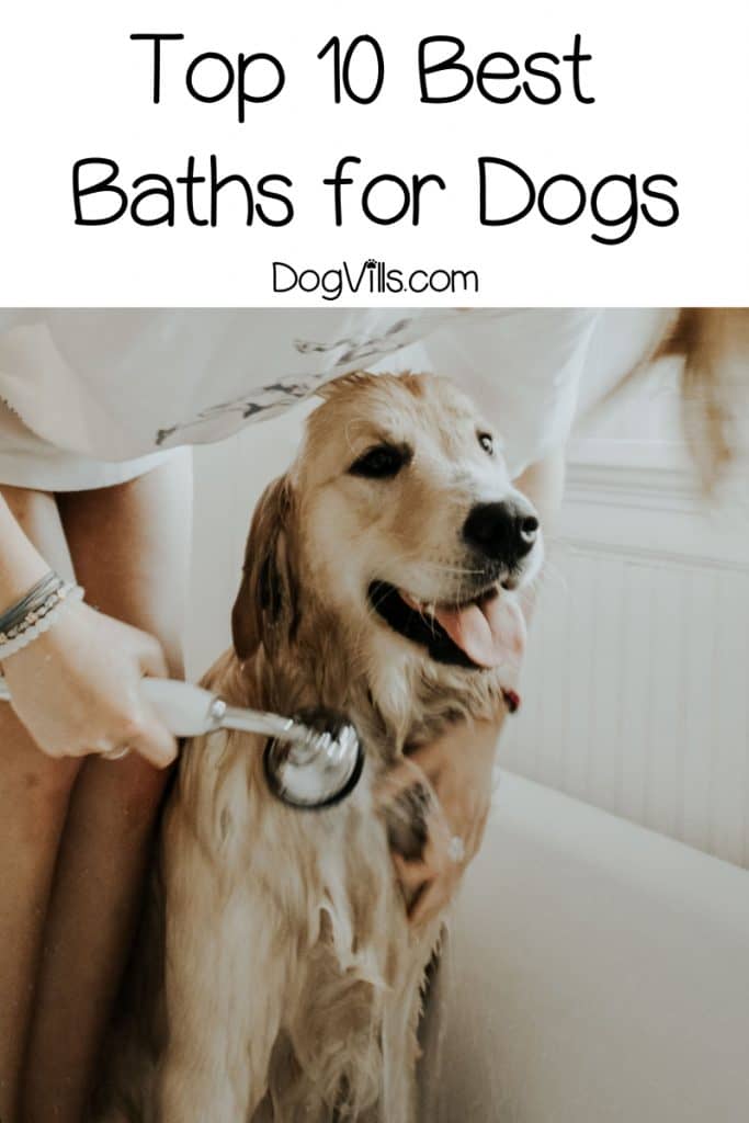 Finding the best baths for dogs is as hard as choosing a new tub for your own bathroom! No worries, though, I've got you covered! Check out 10 great picks!