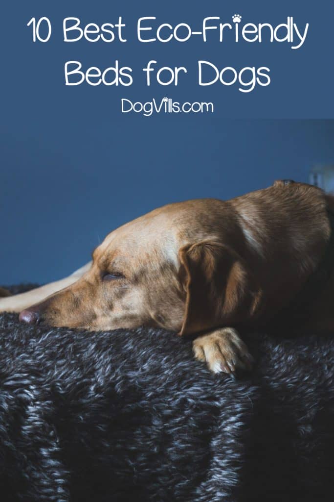 If you want to keep your pup comfy without hurting the planet, you'll love our favorite eco-friendly dog beds. Check them out!