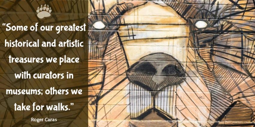 “Some of our greatest historical and artistic treasures we place with curators in museums; others we take for walks.” ― Roger Caras