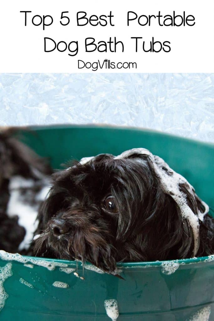 If you're looking for the best portable dog baths that you can use pretty much anywhere, I've got you covered. Check out my top 5 picks!