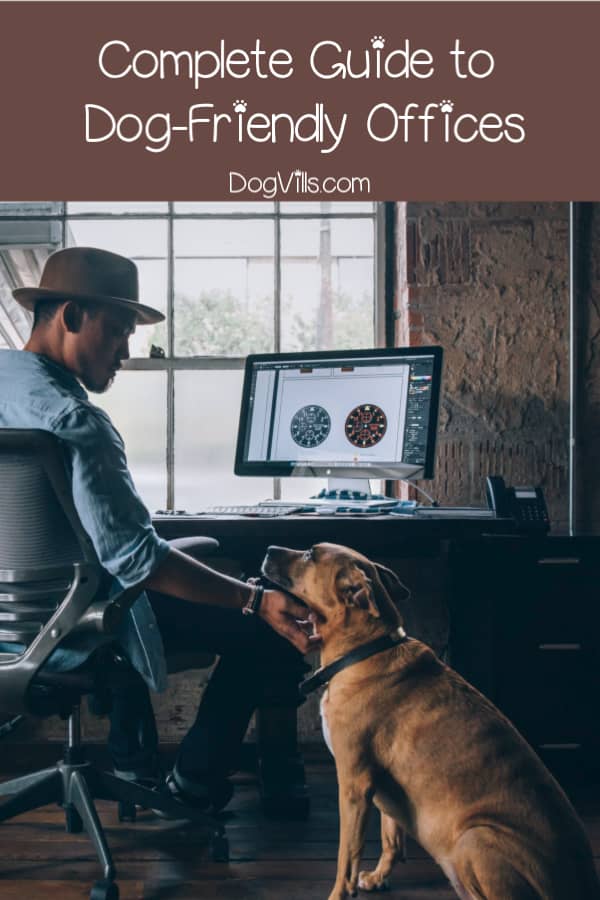 If you dream of working in a dog-friendly office but you're not sure it's even possible (let alone practical), you'll love our guide! Check it out!