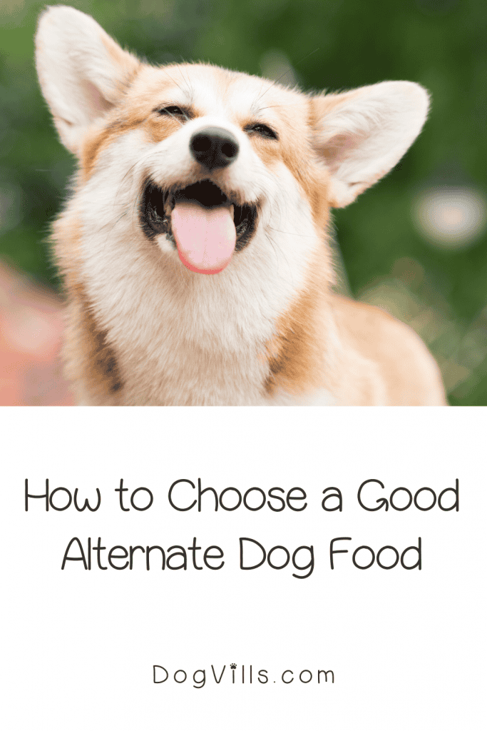 Today, we're going to talk about dog food alternatives for those times when your usual brand is gone. Read on for general tips and specific ideas.