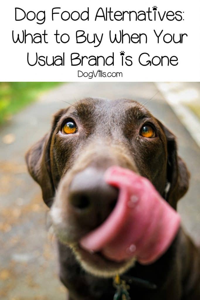 Today, we're going to talk about dog food alternatives for those times when your usual brand is gone. Read on for general tips and specific ideas.