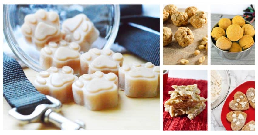 If you need some inexpensive ideas for training treats, check out these 25 irresistible (yet easy) homemade dog treat recipes!