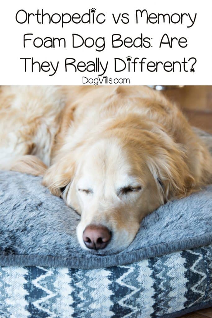 Yes, there really is a difference between orthopedic vs. memory foam dog beds. Read on to learn what it is, plus check out our favorites from each category!