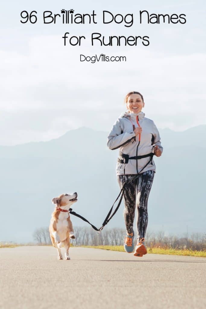 If your favorite activity is jogging, then you can choose one of these 96 dog names for runners for your pup! Check them out!