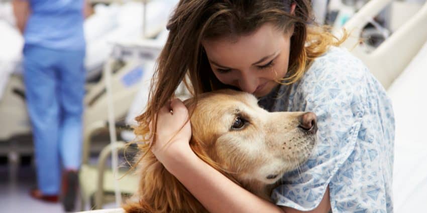 Should you get a puppy for a terminally ill relative? While dogs can lift our spirits, there are downsides, too. Look at the pros and cons.