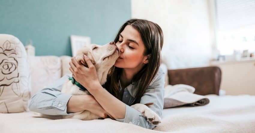 If your pooch loves to give you big slobbery slurps, keep reading for some truly intriguing facts about dog kisses!