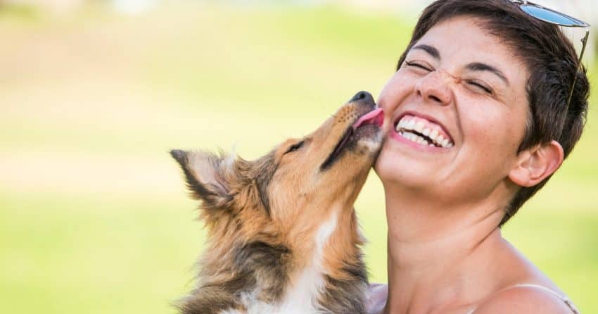 If your pooch loves to give you big slobbery slurps, keep reading for some truly intriguing facts about dog kisses!