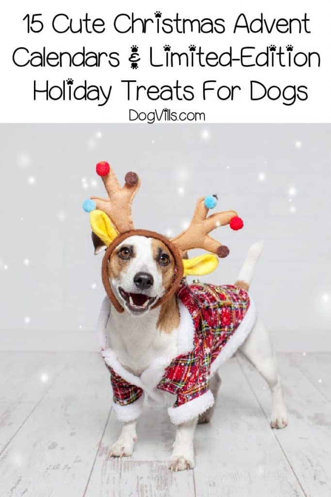 Looking for some of the cutest Christmas advent calendars and holiday treats for dogs? Check out 15 that your dog will devour!