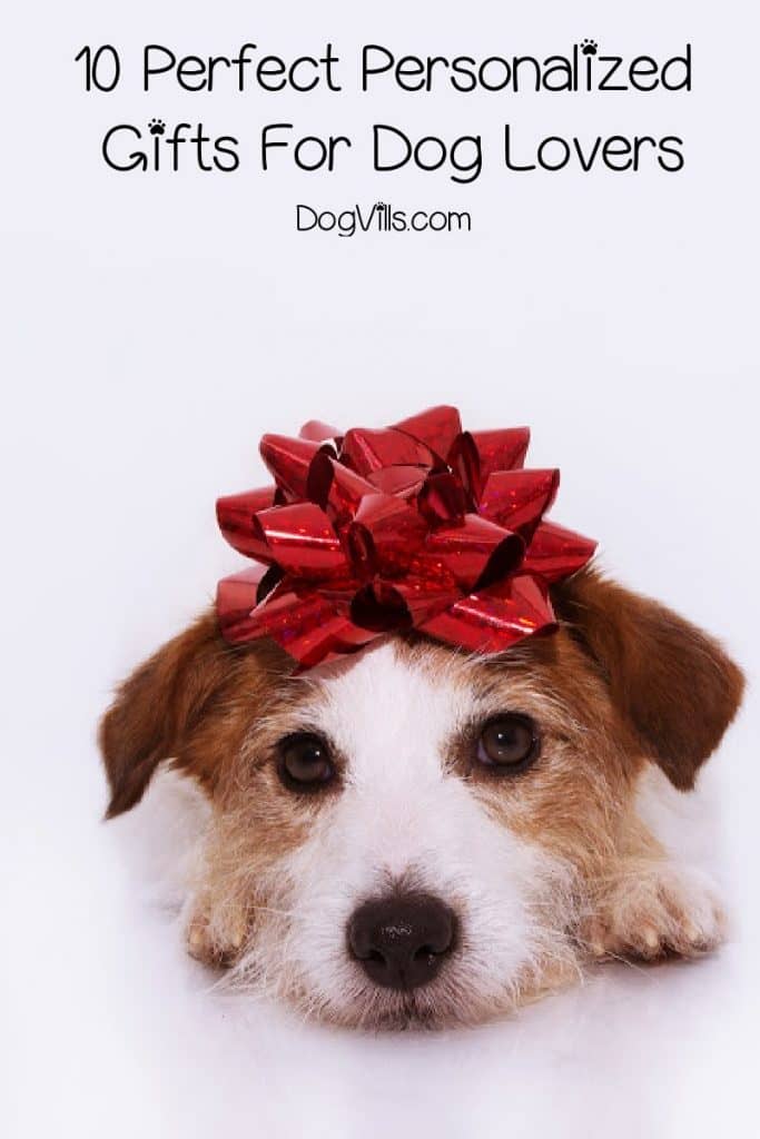 Looking for the best personalized gifts for dog lovers? These 10 ideas make perfect holiday, birthday, or even memorial gifts! Check them out!