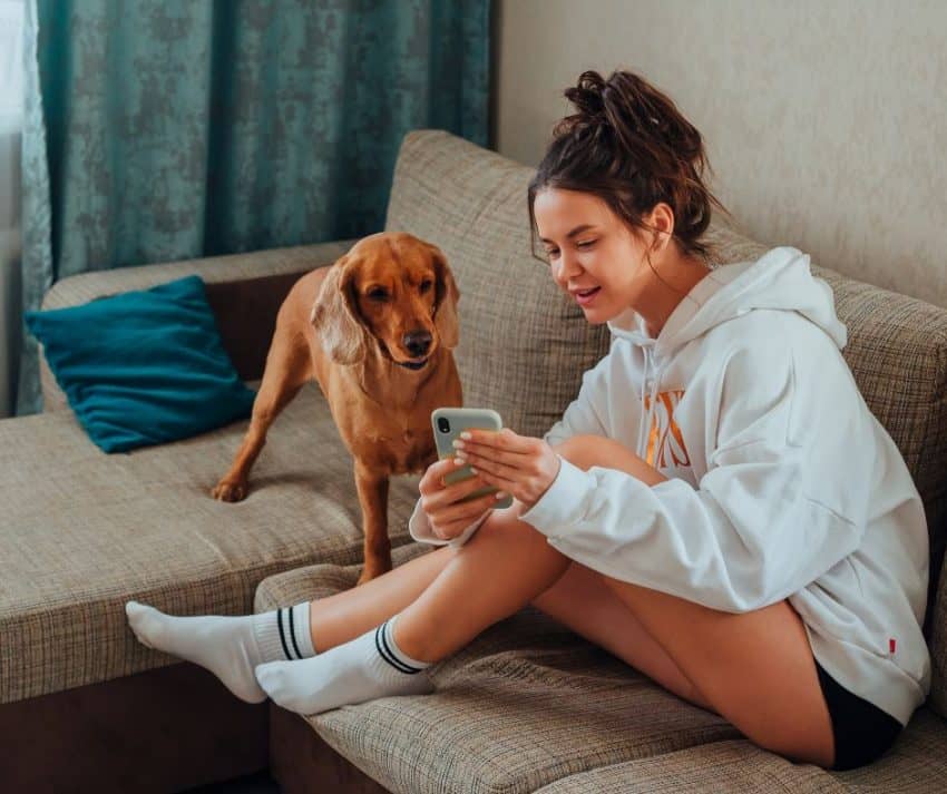 These cool dog technology trends of 2022 make caring for our furry best friends a whole lot easier! Check them out, along with our favorites from each category!