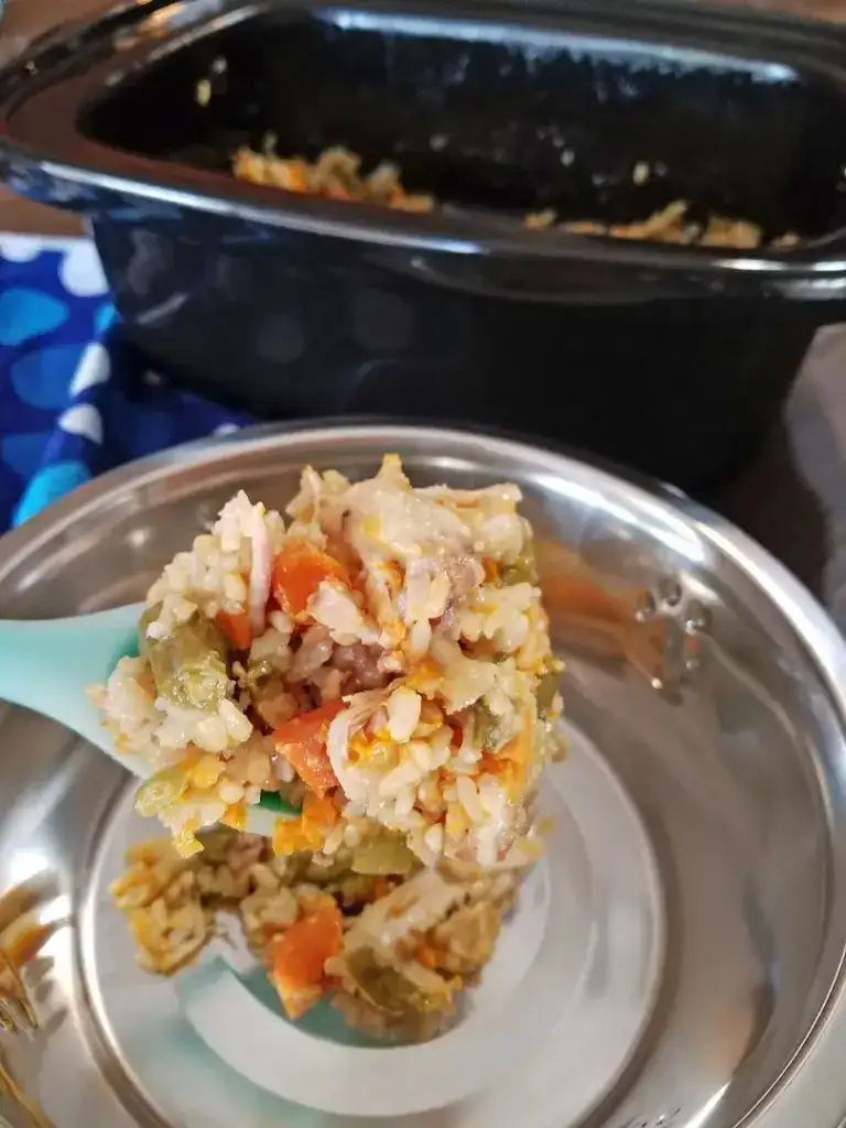 Crockpot chicken homemade dog food recipe 