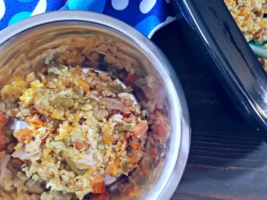 crockpot chicken dog food recipe