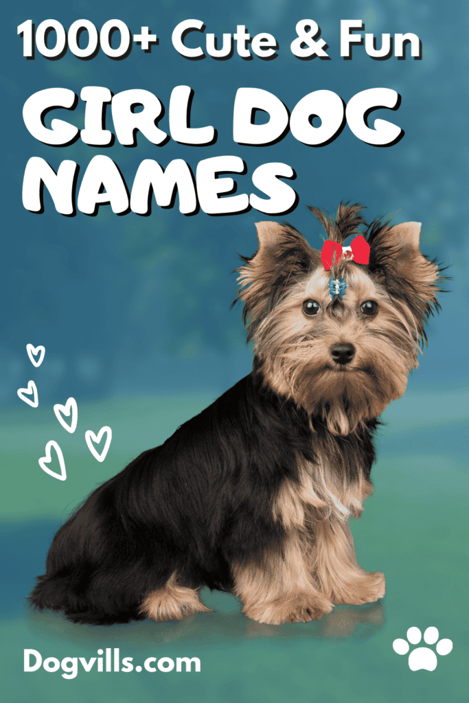 300+ Unique Female Dog Names by Category - PetHelpful