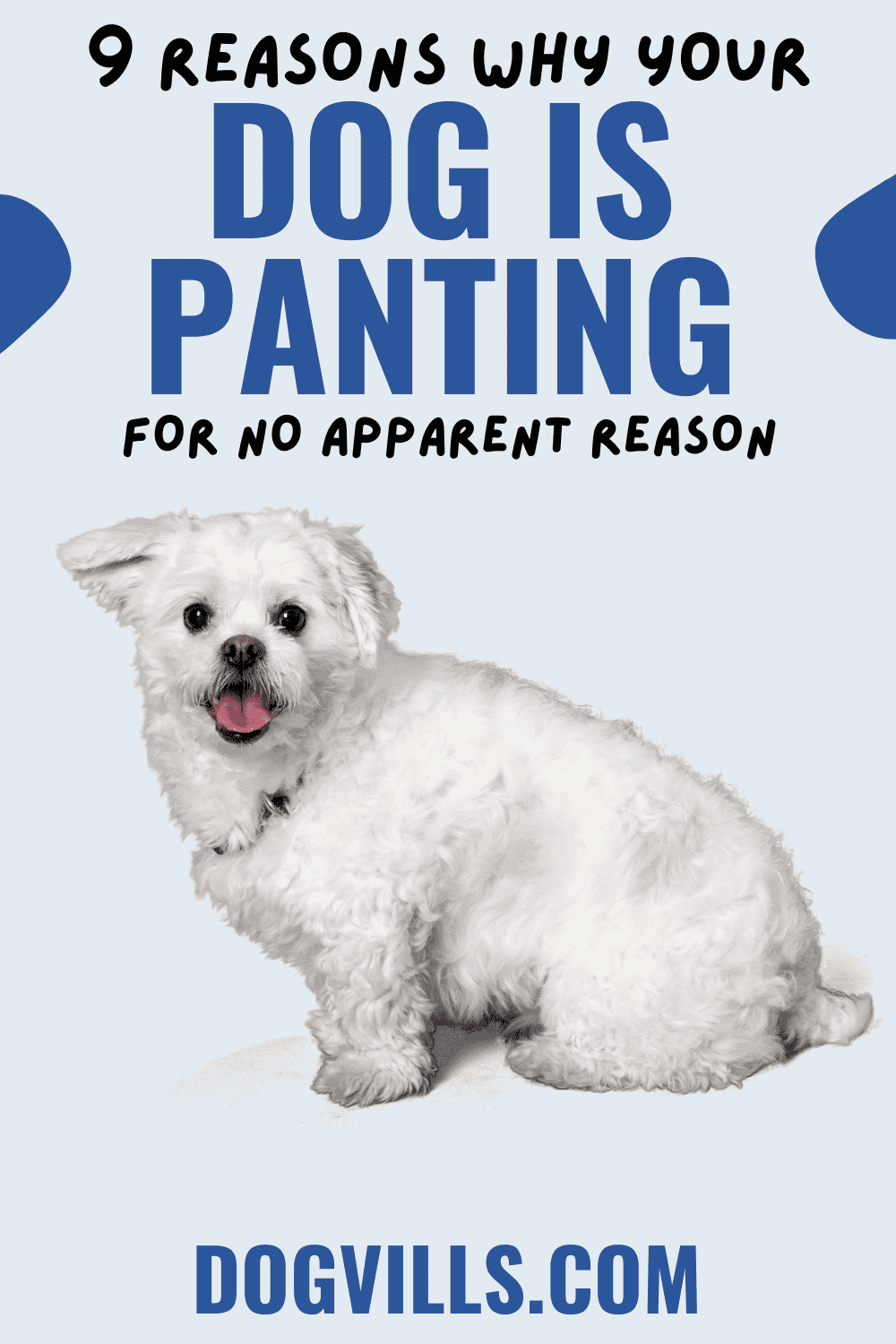 "Help! Why is my dog panting for no reason?" If you're wondering the same thing, keep reading for the most common reasons and which should worry you the most. 