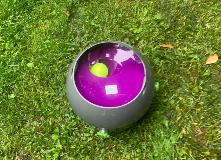 PetSafe Automatic Ball Launcher Review F
