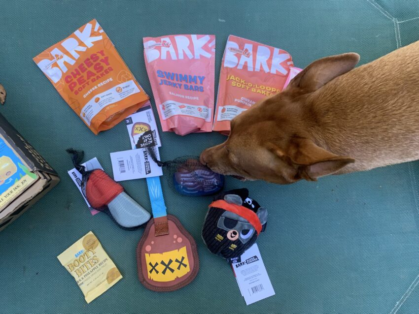 BarkBox Super Chewer Box