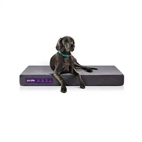 Purple The Pet Bed (Large)