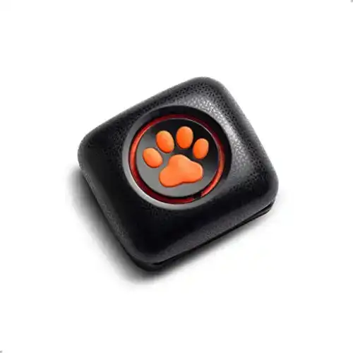 PitPat Dog Activity and Fitness Monitor (no GPS) - Lightweight and Waterproof with no Recharging or Subscription