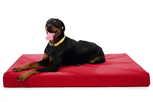 K9 Ballistics Tough Orthopedic Dog Bed X-Large Nearly Indestructible & Chew Proof, Washable Ortho Pillow for Chewing Puppy - for X-Large Dogs 54"x38", Red