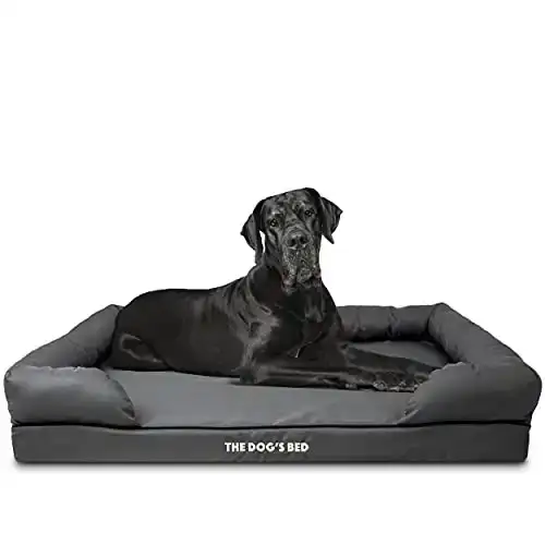 The Dog s Bed Orthopedic Dog Bed XXL Grey 51.5x39, Premium Memory Foam, Pain Relief: Arthritis, Hip & Elbow Dysplasia, Post Surgery, Lameness, Supportive, Calming, Waterproof Washable Cover