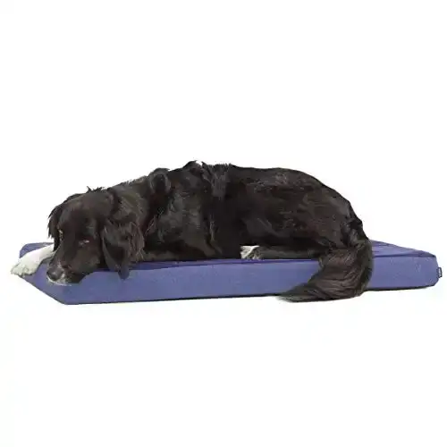 Barkbox Memory Foam Platform Dog Bed | Plush Mattress for Orthopedic Joint Relief | Machine Washable Cuddler with Removable Cover and Water-Resistant Lining | Includes Squeaker Toy (Large, Navy)