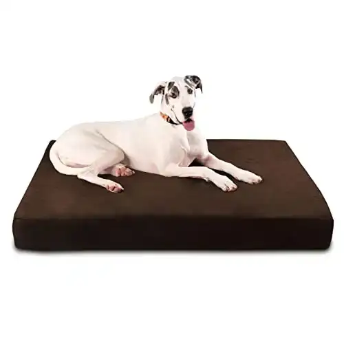 Big Barker Sleek Orthopedic Dog Bed - 7 Dog Sofa Bed for Large Dogs w/Washable Microsuede Cover - Sleek Elevated Dog Bed Made in The USA w/ 10-Year Warranty (Sleek, Giant, Chocolate)