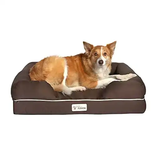 PetFusion Ultimate Dog Bed, Orthopedic Memory Foam, Multiple Sizes/Colors, Medium Firmness Pillow, Waterproof Liner, YKK Zippers, Breathable 35% Cotton Cover,1yr. Warranty,Brown, Large (36x28")